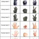 The images shown to chimpanzee and human child participants.